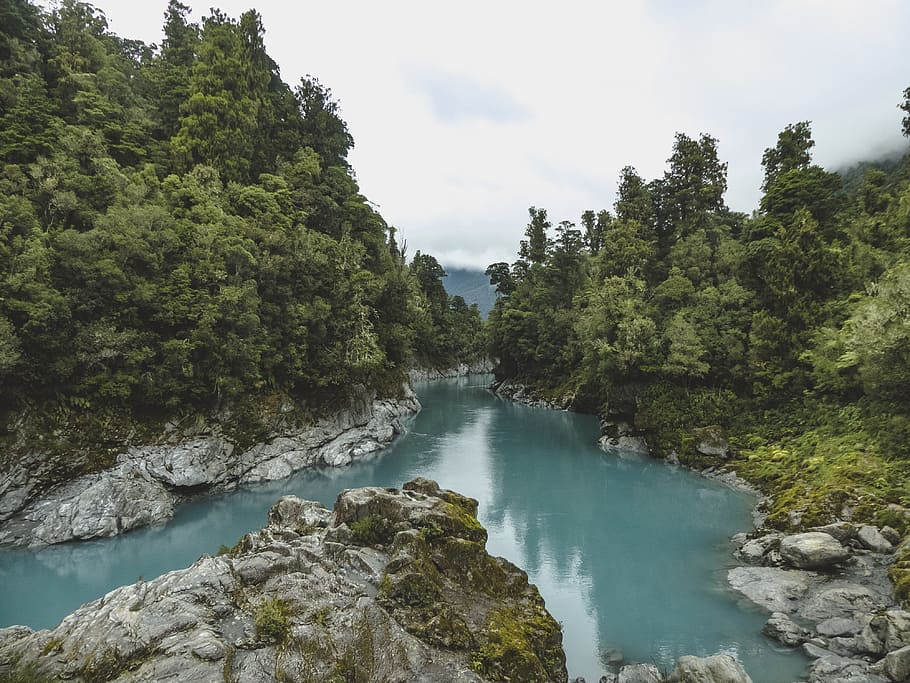 nature, water, rocks, forest, daylight, environment, new zealand HD wallpaper