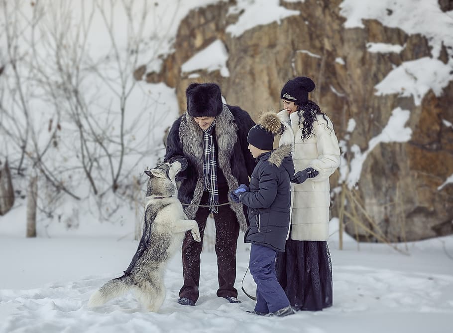 snow, winter, coldly, ice, cold temperature, real people, mammal HD wallpaper