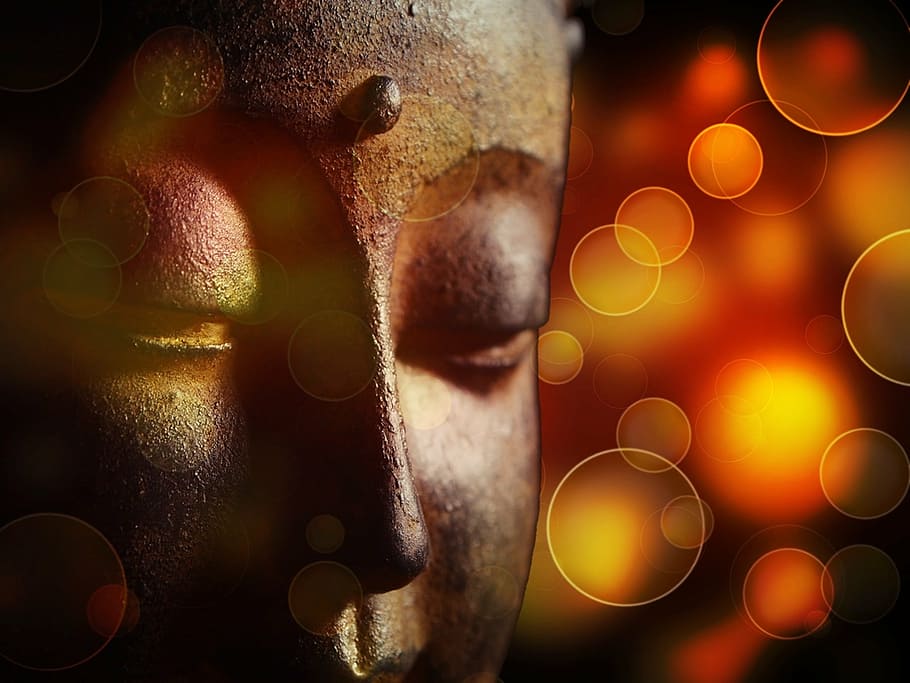 shallow focus photography Gautama Buddha, india, spirit, prayer, HD wallpaper