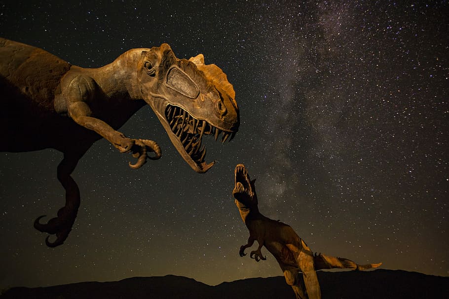 two T-Rex dinosaurs illustration, two brown dinosaurs, star, museum HD wallpaper
