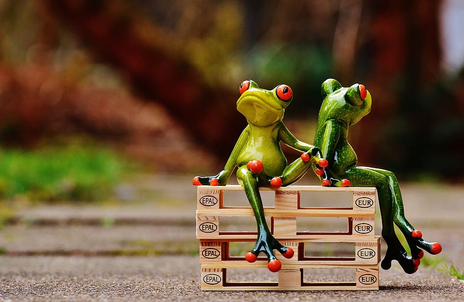 friends, sit, pallets, frogs, euro pallets, rest, break, funny HD wallpaper