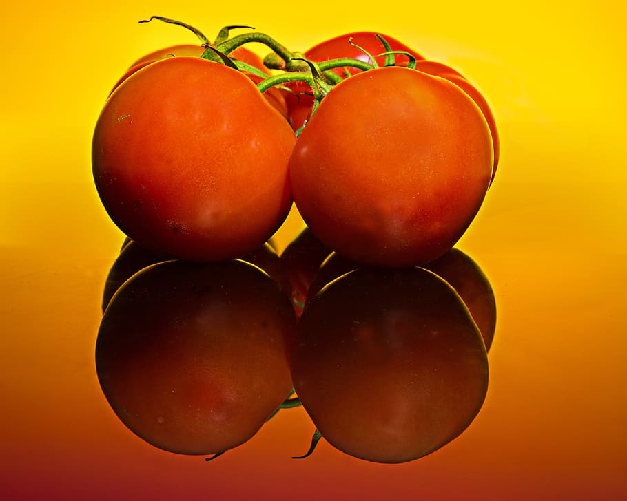 red, tomatoes, fresh, ripe, food and drink, healthy eating HD wallpaper