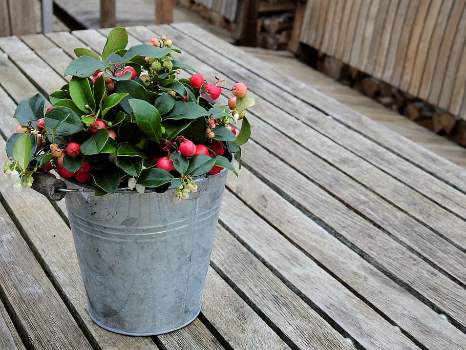 flowers, table, wood, table decorations, bucket, vessel, plant HD wallpaper