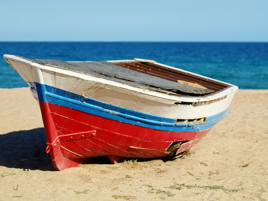 white, blue, and red jon boat in beach, ship, sea, water, summer