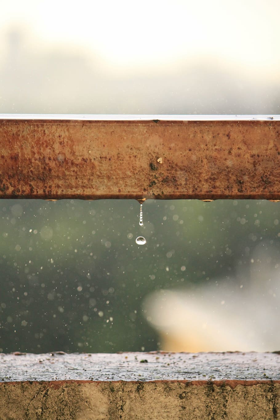 rain, drop, bossage, raindrops, weather, wood - Material, nature HD wallpaper