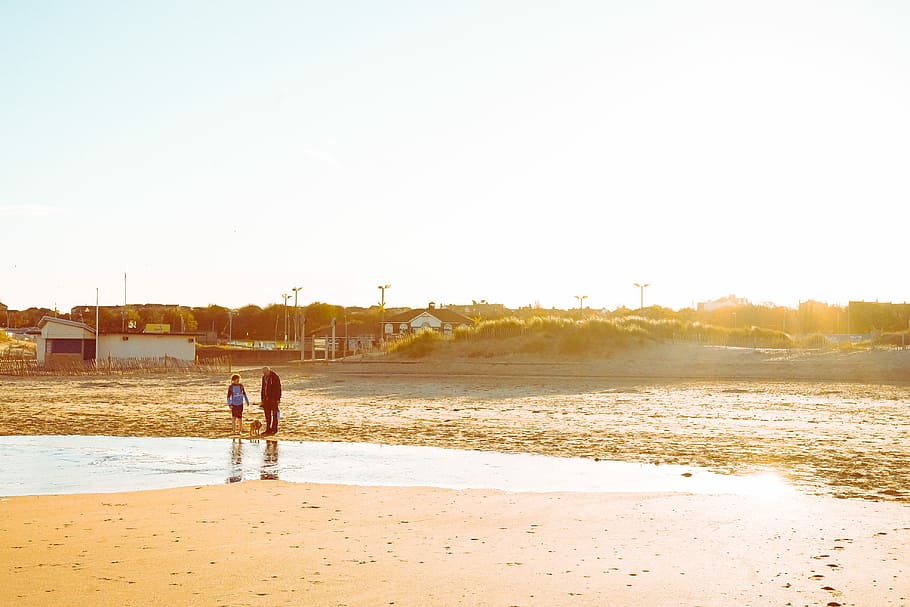 two person walking with dog, two person standing near body of water outdoor during daytime HD wallpaper
