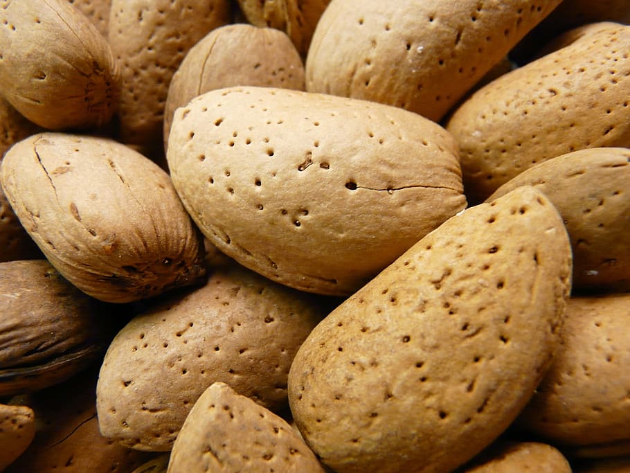 Almonds, Nuts, Shell, Food, Bowl, almond bowl, food and drink HD wallpaper