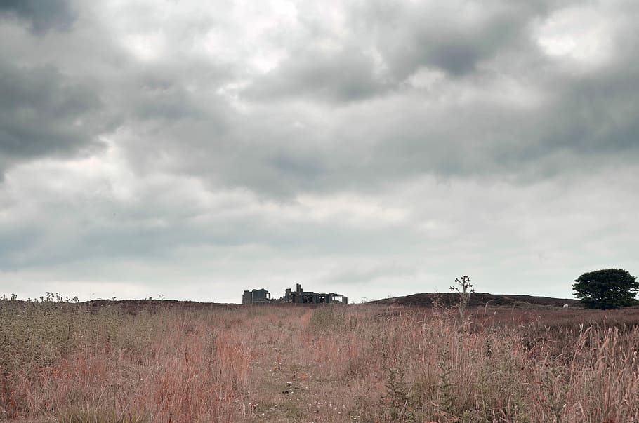 Sky, Landscape, Grass, Field, View, cloud, rural, building HD wallpaper