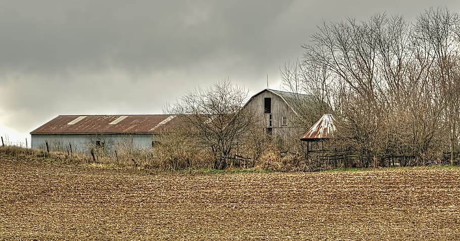 barn, barns, rustic, art, digital art, artistic, textured, ohio HD wallpaper