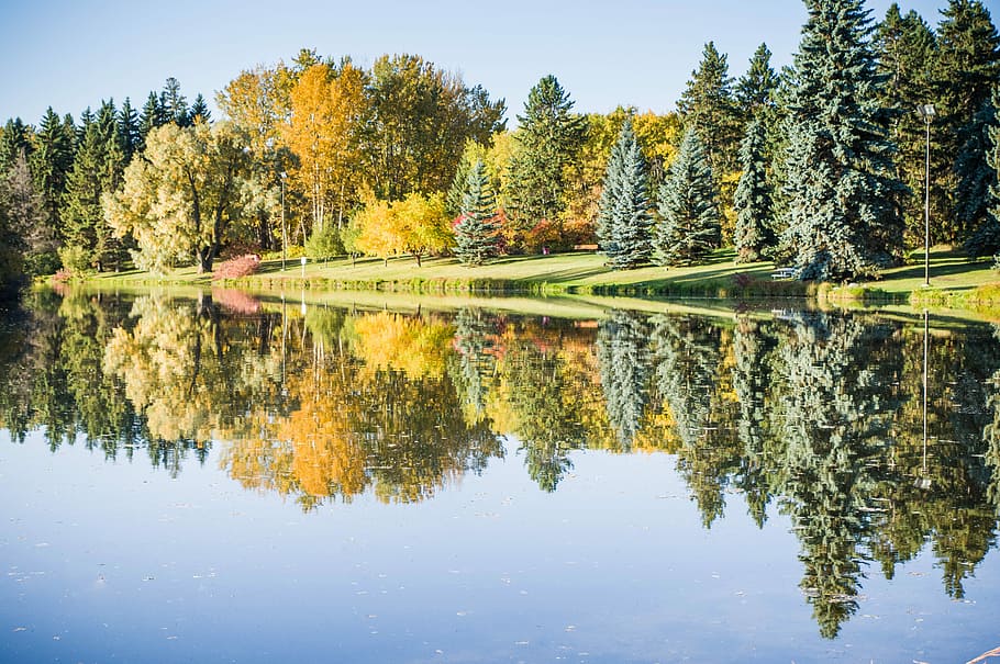 Autumns splendor, calm body of water beside glassland near trees under blue sky HD wallpaper