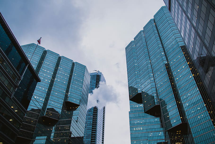 city buildings during daytime, low angle photo of city's skyscrapers HD wallpaper