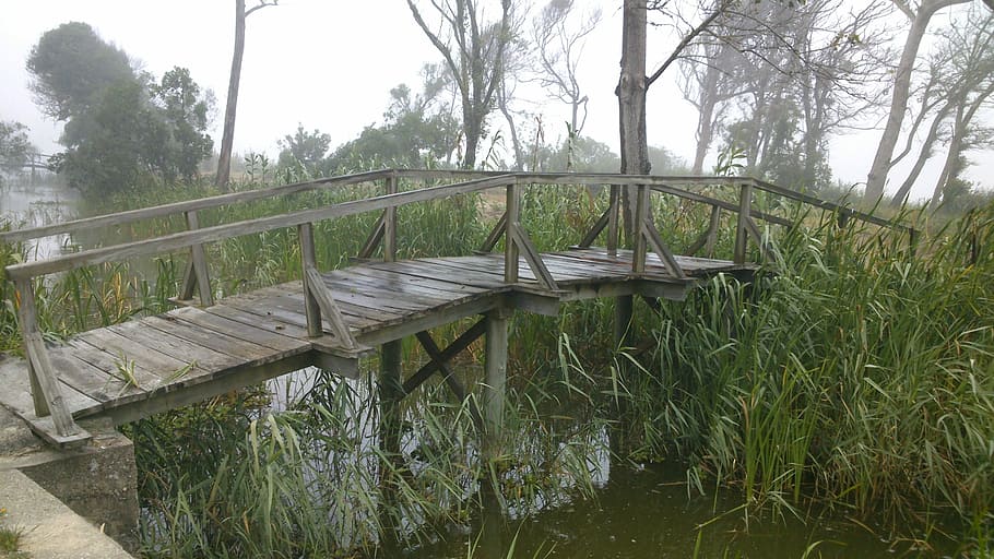 Bridge, River, Wood, reflection, nature, day, no people, outdoors HD wallpaper