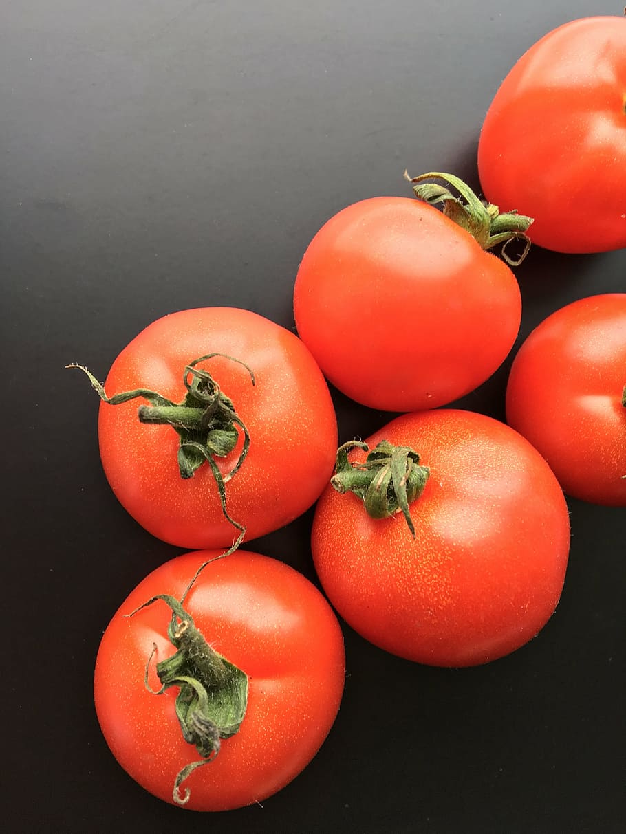 tomato, fruit, vegetable, fresh, red, food, healthy, organic HD wallpaper