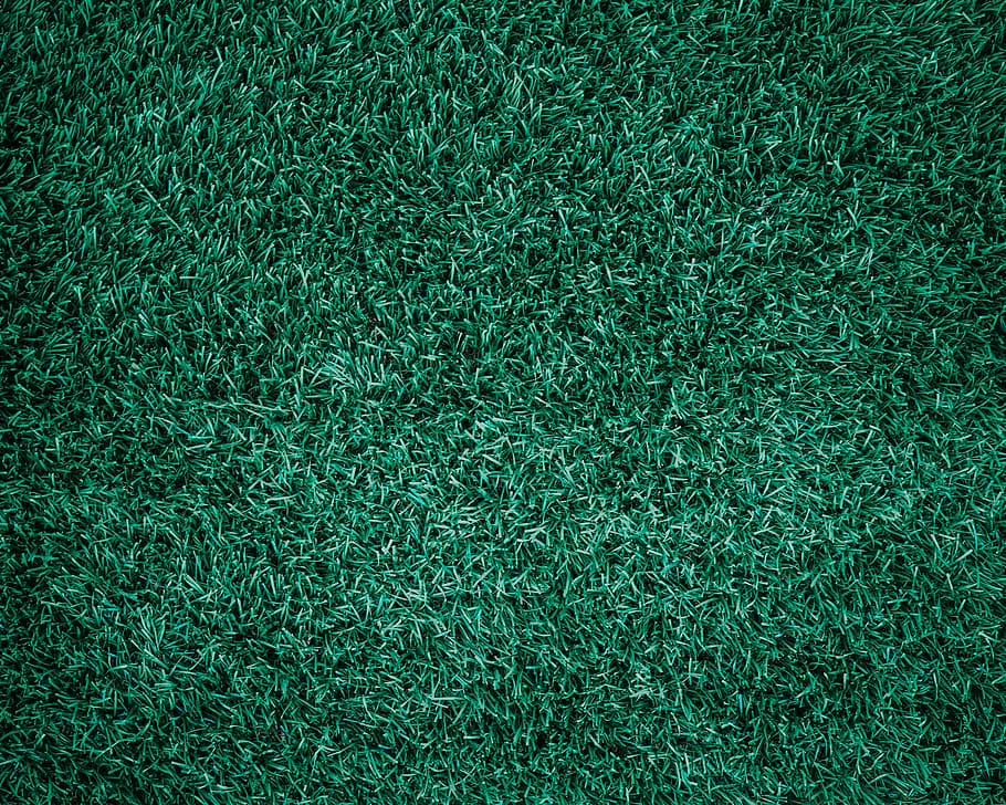 flat lay photo of green lawn grass, abstract, backdrop, background