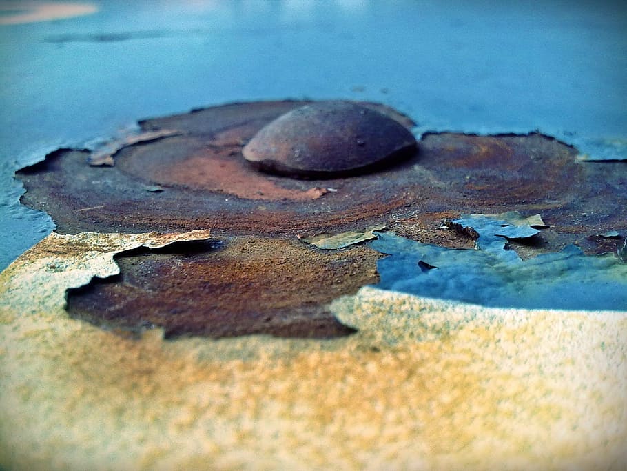 Bolt, Oxide, Screw, Metal, Screws, rusty, old, no people, close-up HD wallpaper
