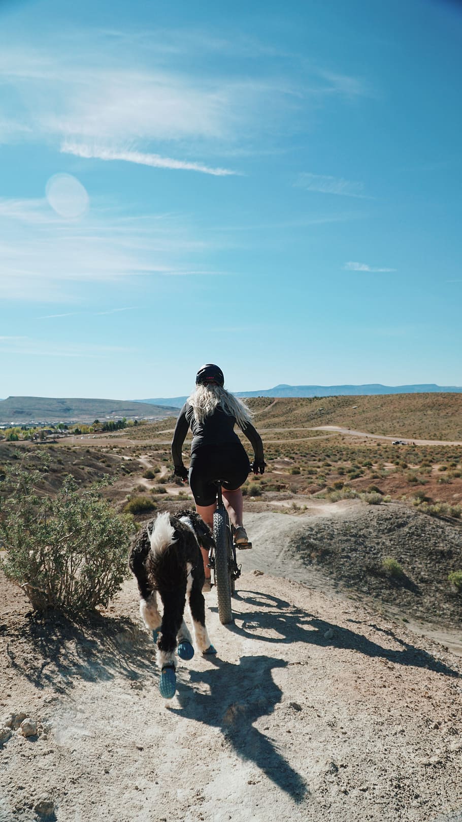 woman riding fat bike running on road with black and white foal during daytime, woman rides on bicycle under blue sky