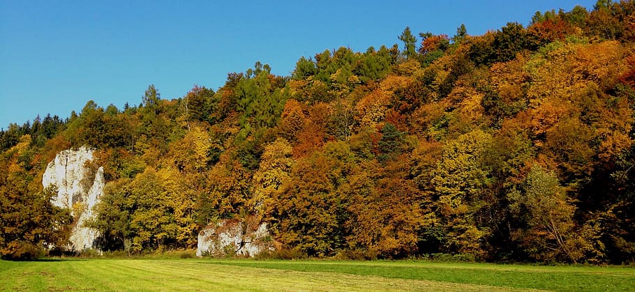 autumn, landscape, tree, nature, forest, pieskowa skała castle HD wallpaper