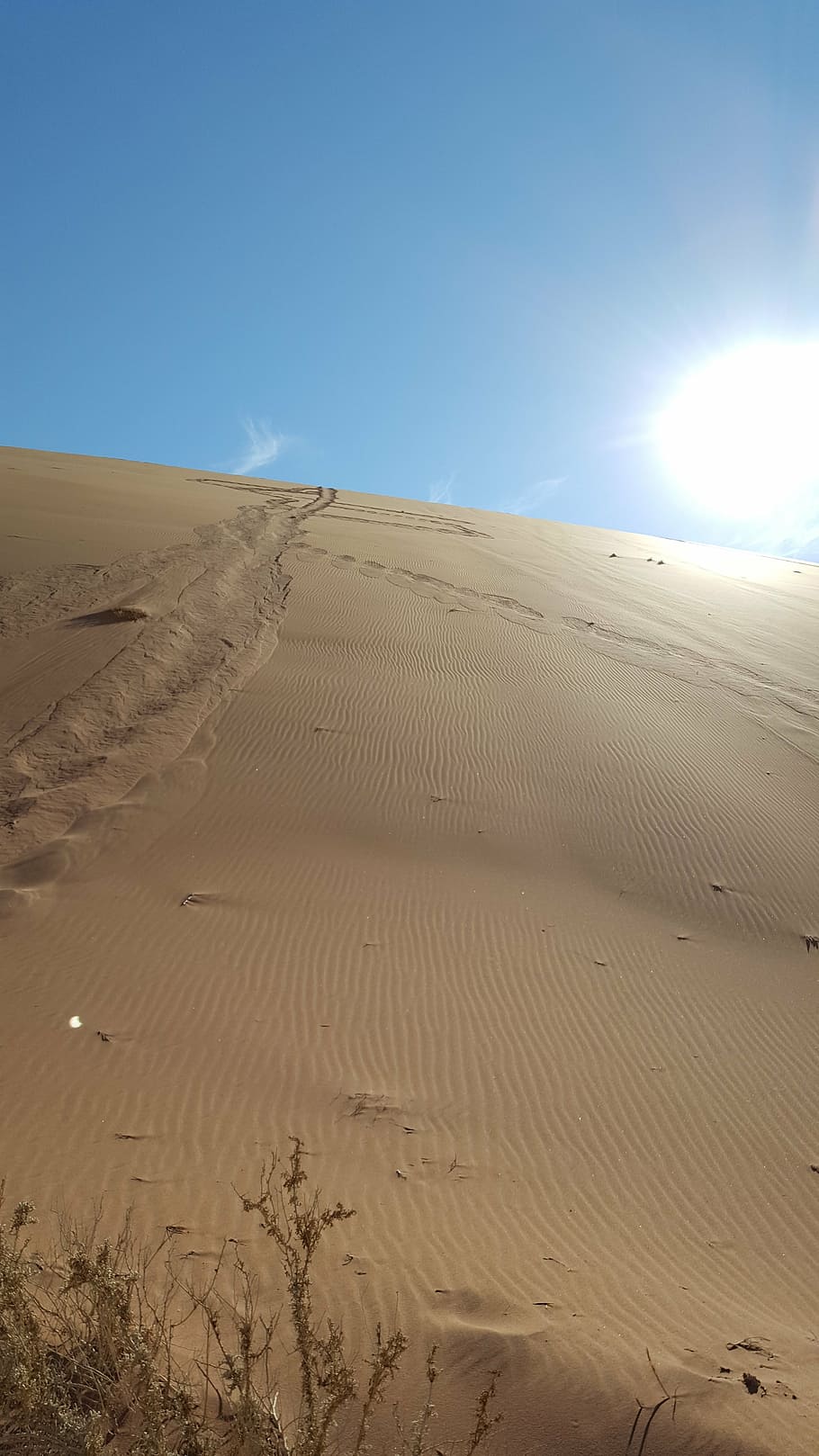 namibia, sossusvlei, desert, sand, dune, enormous, landscape HD wallpaper