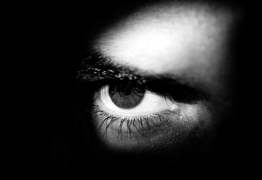 closeup photo of person's eye, Look, Vista, Eyelashes, Face, eyes, HD wallpaper