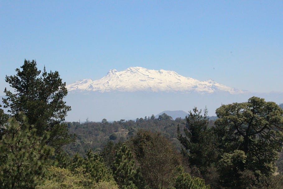 forest, landscape, nature, mountain, iztaccíhuatl, mexico HD wallpaper