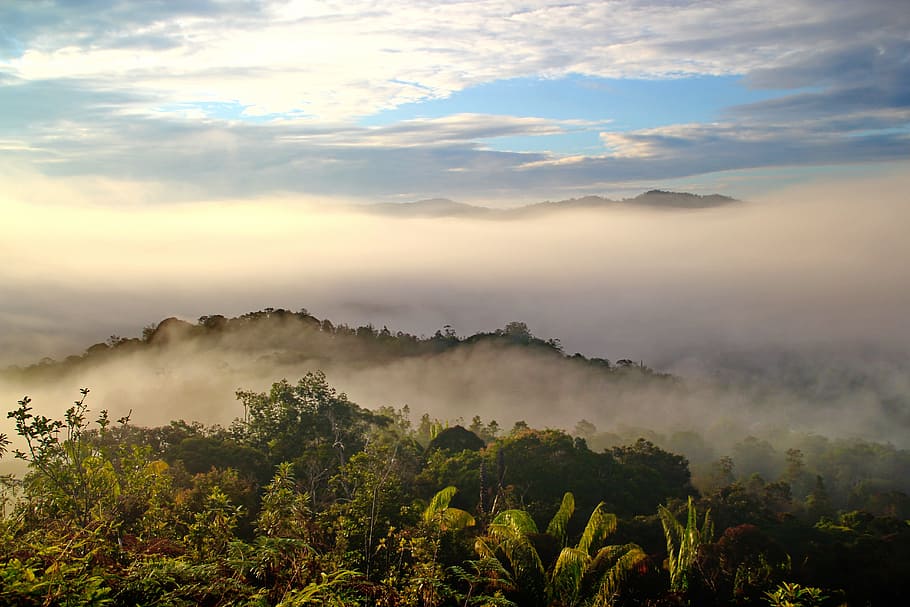 landscape photography of trees, mountains, fog, and sky, Bario