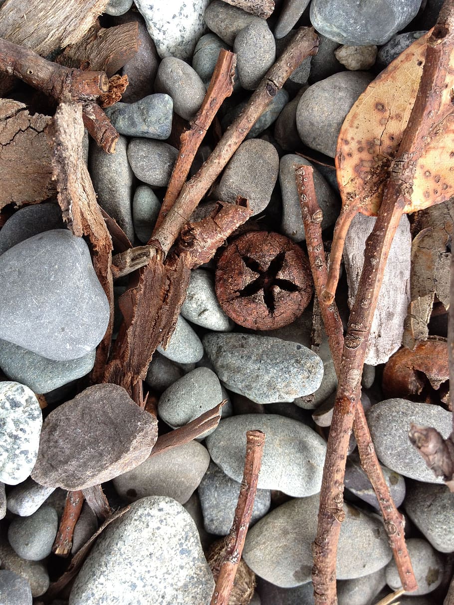 background, stones, rocks, pebbles, wood, leaf, autumn, nature HD wallpaper