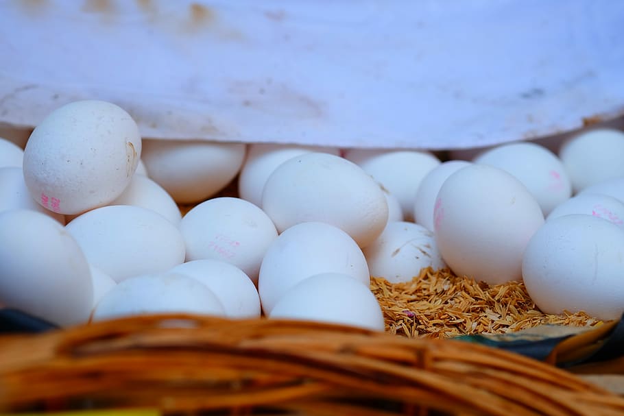 Egg, Chicken, White, Eggs, Spawn, white eggs, many eggs, selective focus HD wallpaper