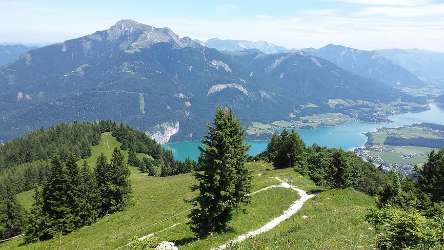 lake, tree, mountain, scenics - nature, beauty in nature, plant HD wallpaper