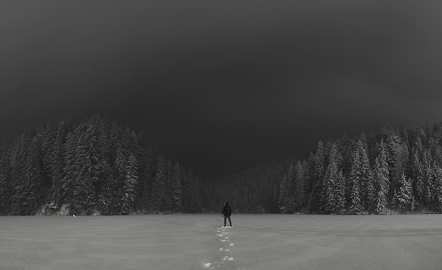 grayscale photography of person standing on snow field, man standing in snow field HD wallpaper