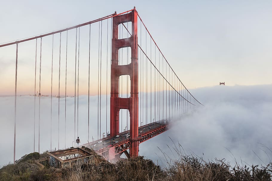 Golden Gate Bridge, California, red golden gate bridge with fog during daytime HD wallpaper
