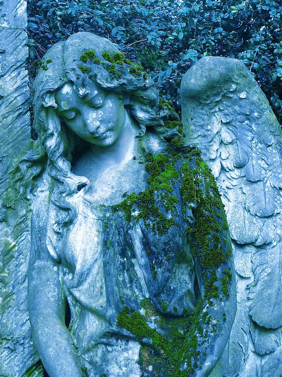 angel statue with algae, sculpture, hope, wing, grave, silent, HD wallpaper