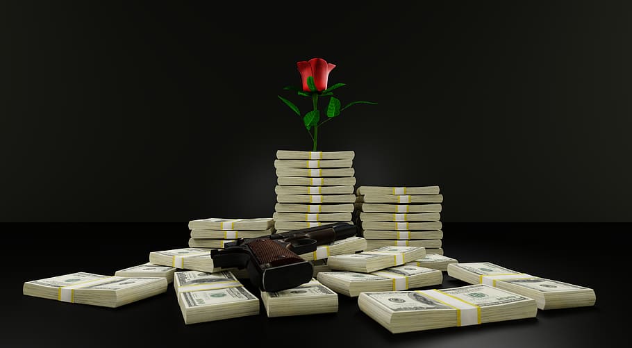 money, gun, rose, romance, cash, dollars, rebel, love, concept, HD wallpaper