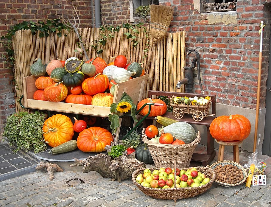 Hd Wallpaper Autumn Pumpkins Still Life Vegetables Broom