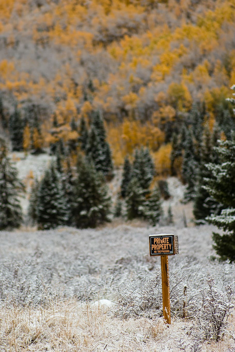 photo of private property signage, brown and black private property signboard near snow covered grass at daytime HD wallpaper