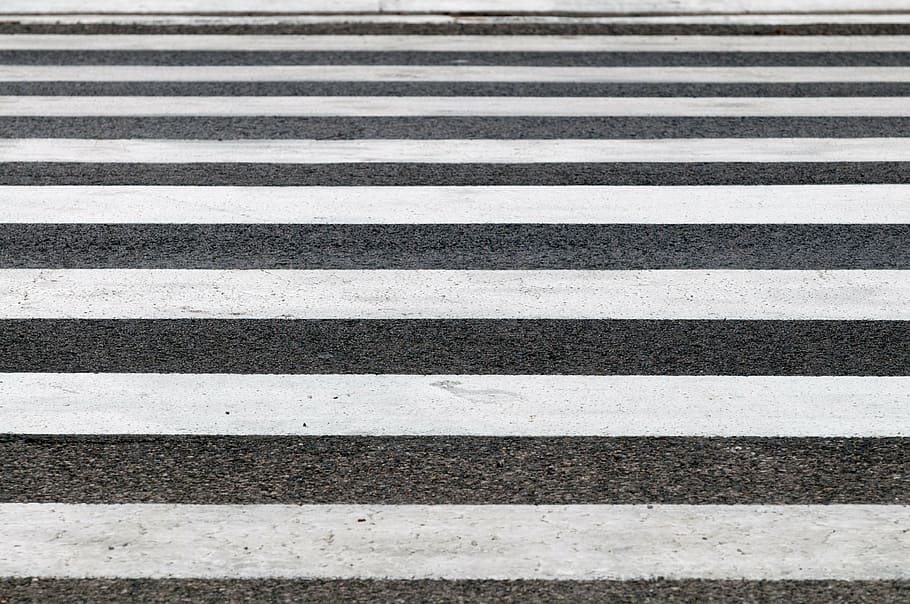 HD wallpaper: white pedestrian lanes, zebra, crossings, road, striped ...