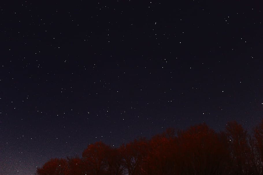 nature, trees, night, sky, star - space, astronomy, scenics - nature HD wallpaper