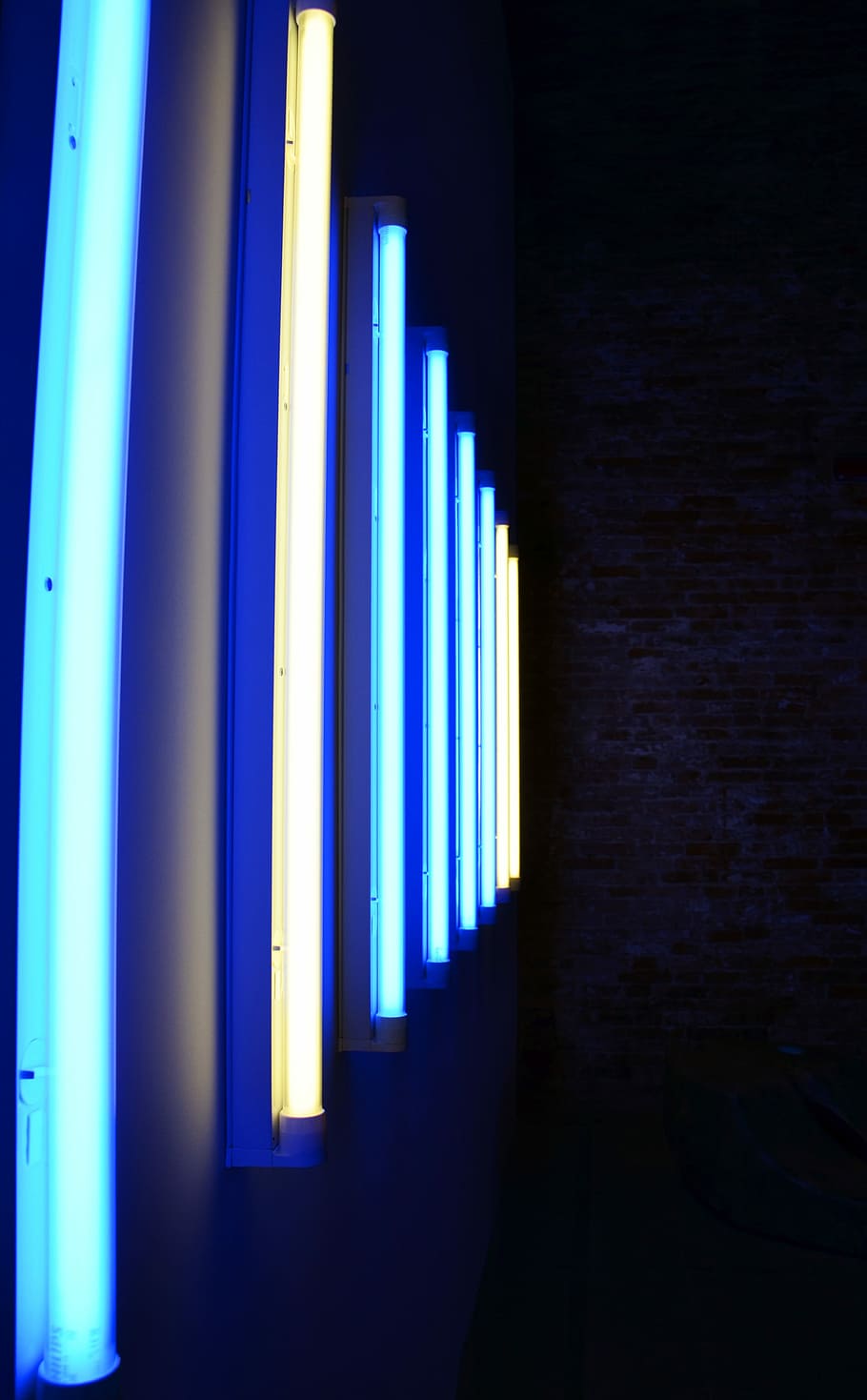 neon, neon light, neon lights, lamps, bulbs, blue, art, art installation, HD wallpaper