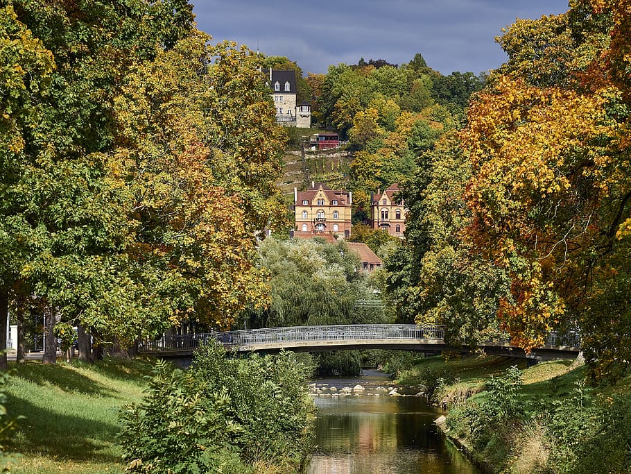 nature, tree, leaf, park, autumn, river, bridge, colorful, leaves HD wallpaper