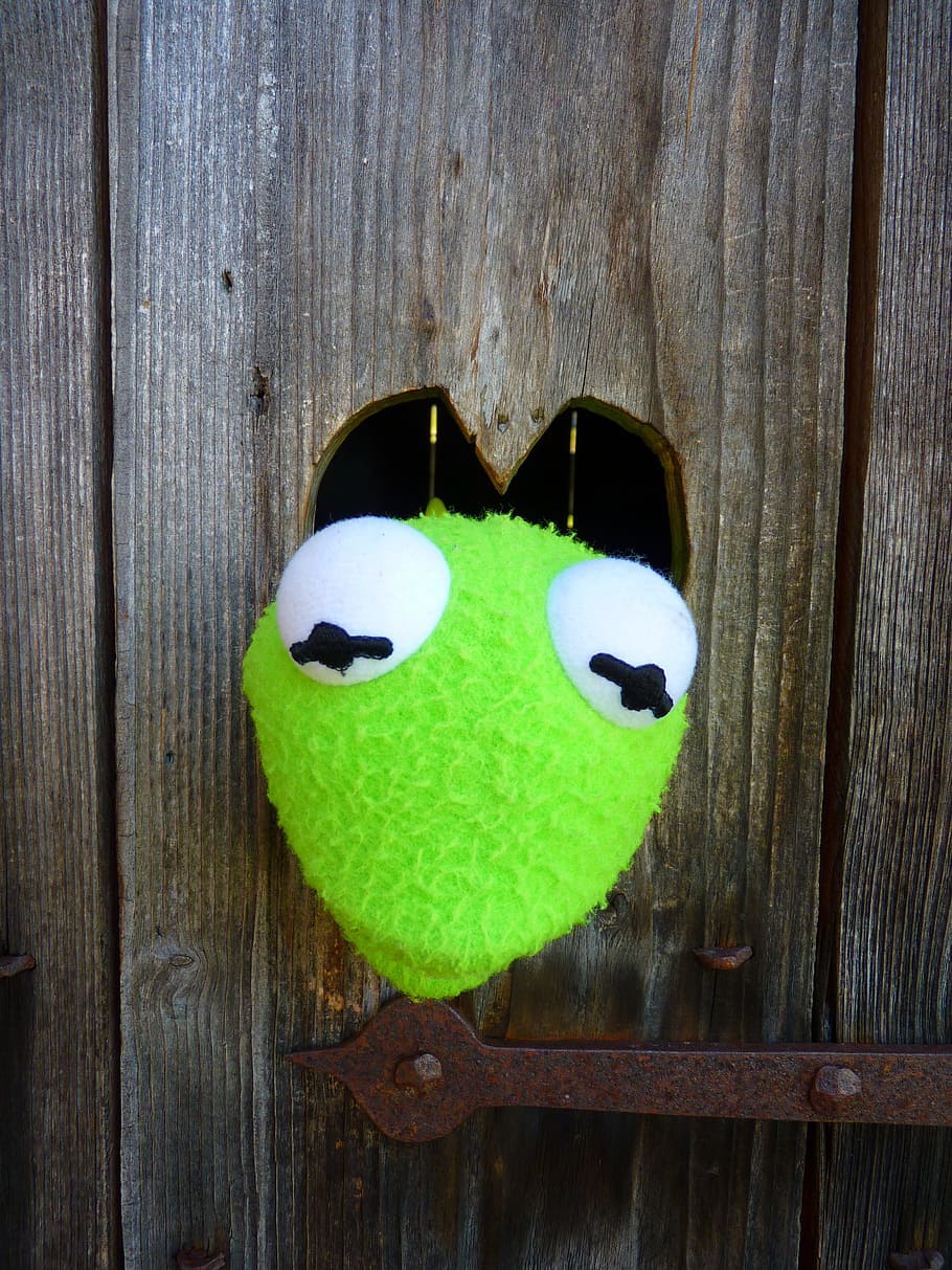 Kermit, Green, Frog, Doll, Figure, wood - material, green color HD wallpaper