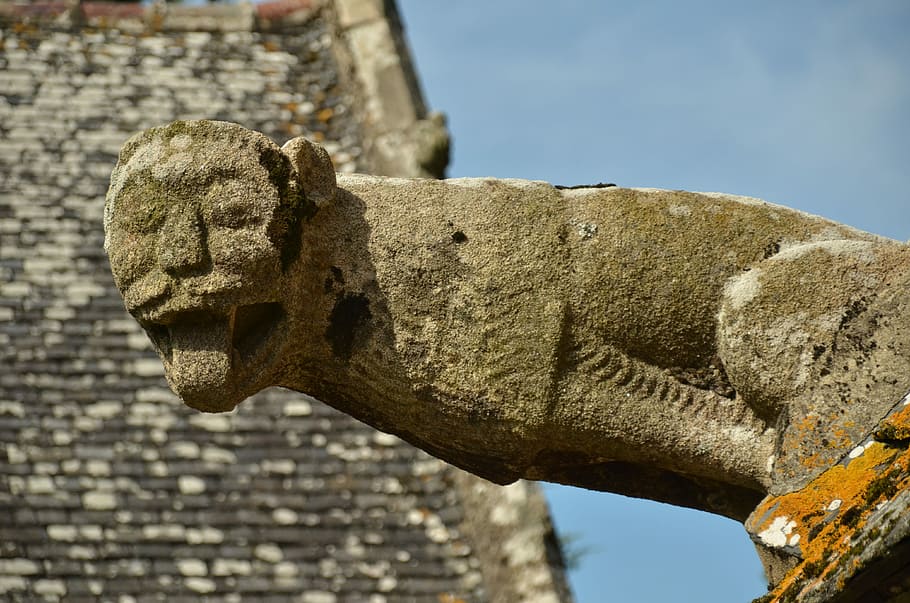 Image, Gargouille, Gargoyle, Stone, church, history, stone material HD wallpaper