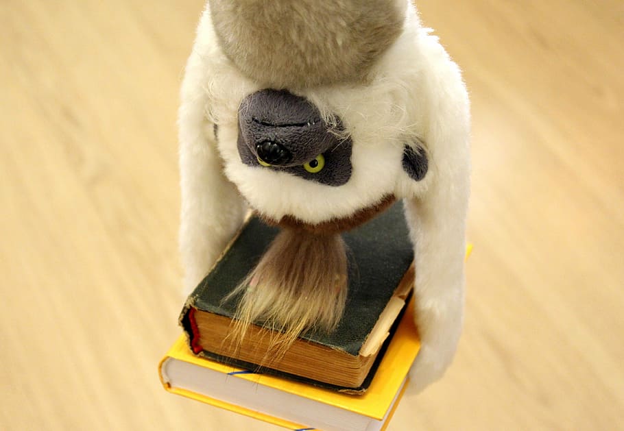monkey, books, hang, conversely, acrobat, circus, rack, education HD wallpaper