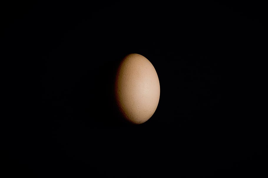 black, shadow, egg, light, food, black background, healthy eating HD wallpaper