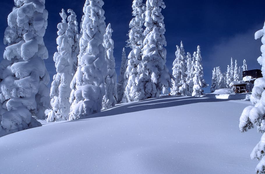 white snow path, field, sunrise, winter, cold, weather, nature HD wallpaper