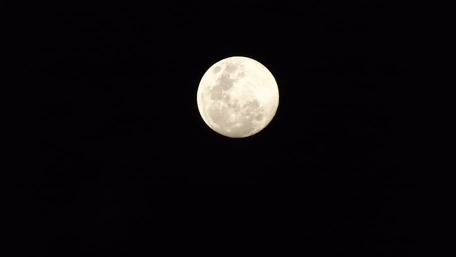 moon, dark, night, full, space, astronomy, sky, planetary moon HD wallpaper