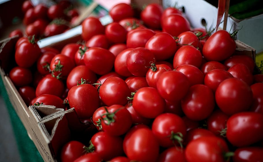 tomatoes, vegetables, cherry tomato, cherry tomatoes, solanum lycopersicum HD wallpaper