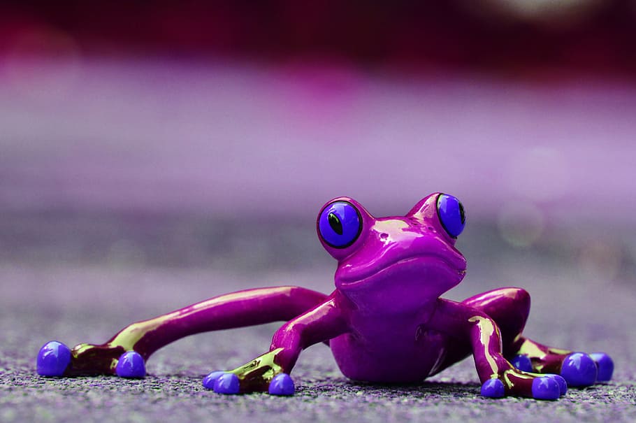 frog, funny, figure, cute, animal, purple, sweet, frog eyes, HD wallpaper