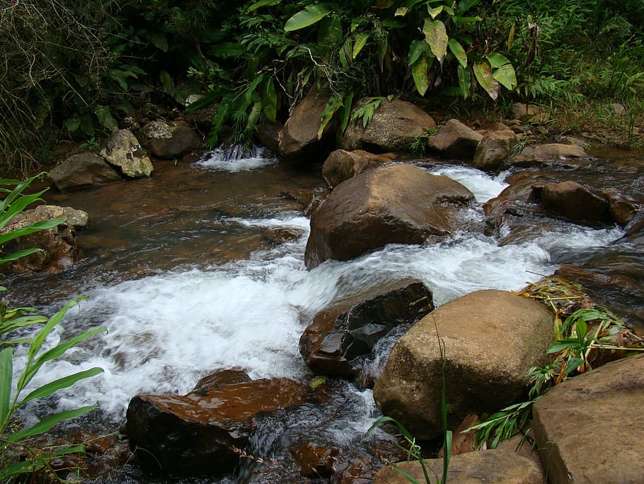 stones, cascade, water, nature, river, stream, waterfall, forest HD wallpaper