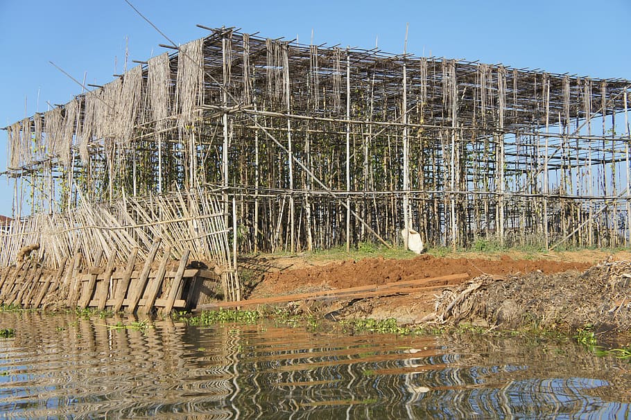 construction, scaffolding, bamboo, bamboo scaffolding, support HD wallpaper