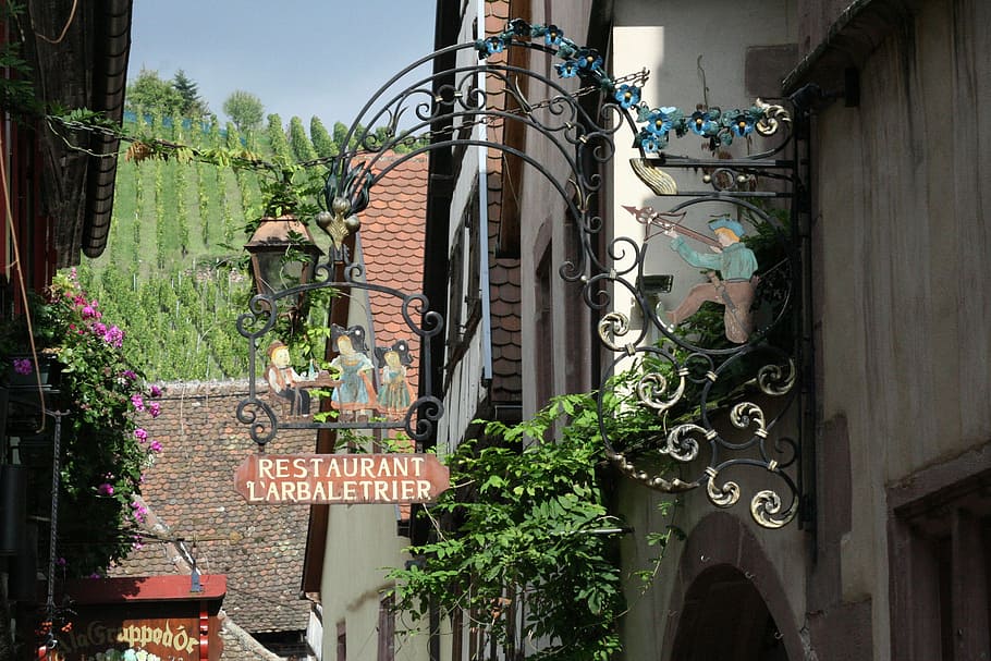 vineyard, alsace, teaches, built structure, building exterior HD wallpaper