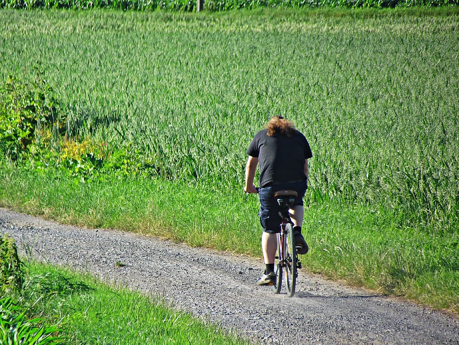 hd-wallpaper-bike-male-field-horse-sport-means-of-communication